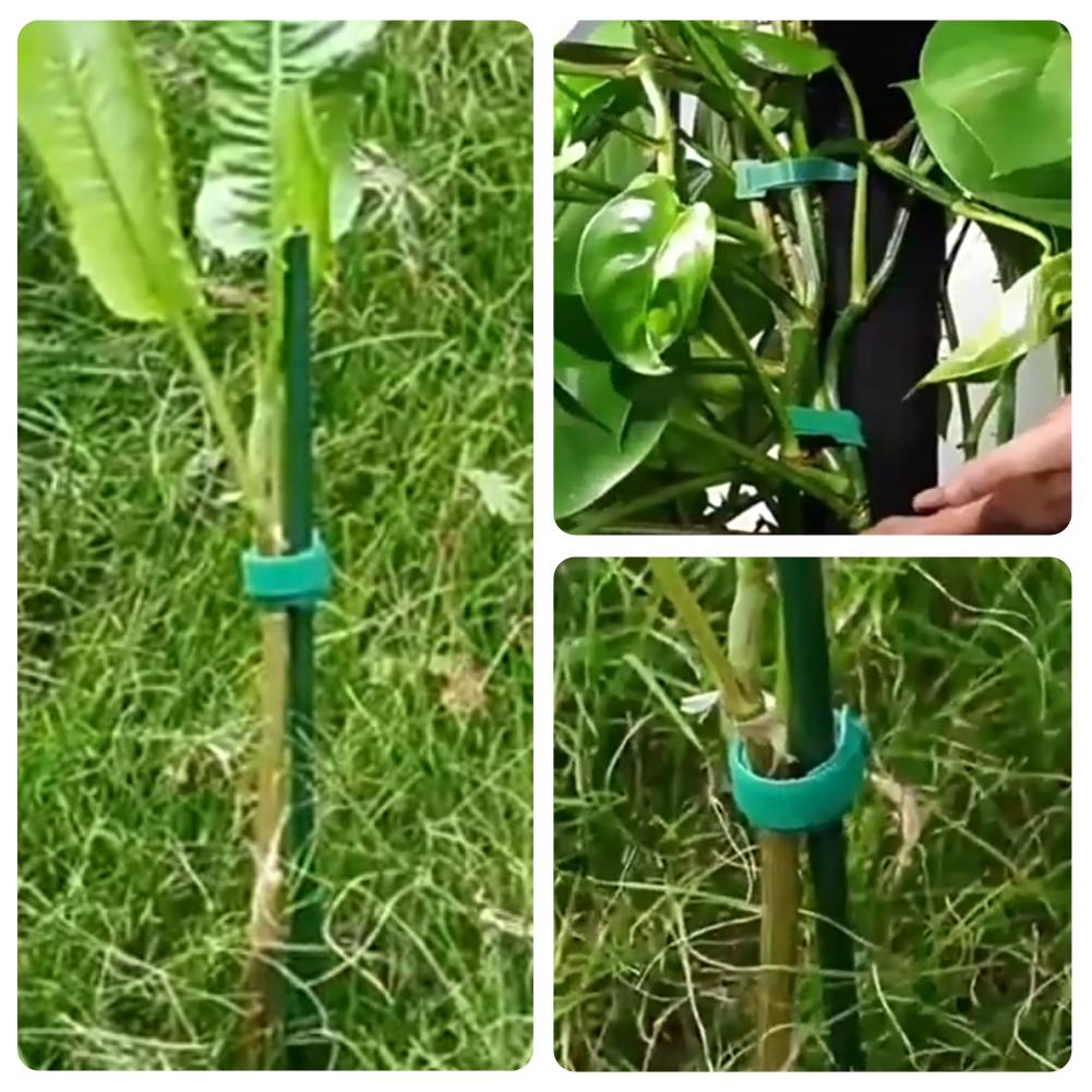 100pcs Pengikat Tanaman Nilon  - Velcro Hook Loop ulasan dan harga